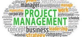 Project Management - a Necessary Overhead for Small IT service Providers