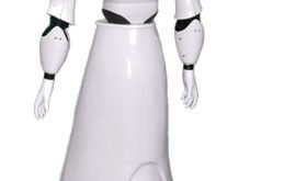 The first Indian Humanoid Multi-purpose Service robot