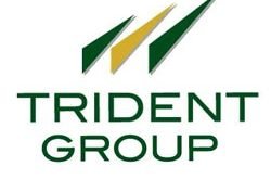 Trident group adopts PeopleStrong Alt to improve productivity at workplace