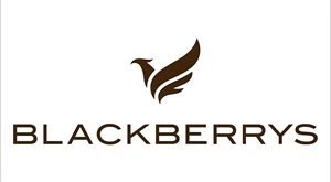 Blackberrys Unveils New Brand Vision and Identity