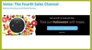 Voice: The Fourth Sales Channel