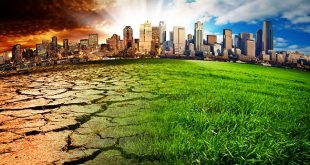 Majority of Indians in Denial that Climate Crisis Will Have Any Major Impact