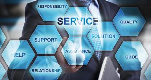 India IT Services Market Grows by 7.3% with Digital Transformation Spending