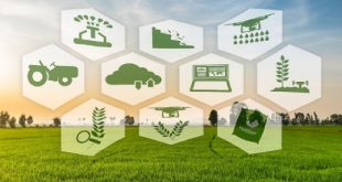 Hesa to Leverage Better Market Linkages for their Farmers with Oxecart