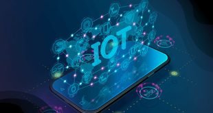 Lilikoi Holdings Acquires Controlling Stake in DEV IT to Propel IoT and AI Wireless Ecosystem Vision