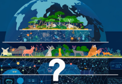 Is Our Ecosystem Predictable, Aligned, and Trusted at Scale?